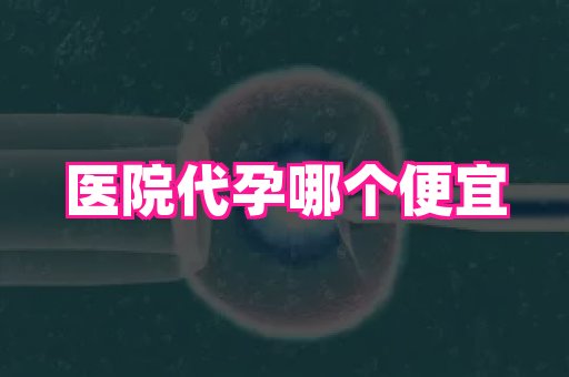 河南助孕网站 1