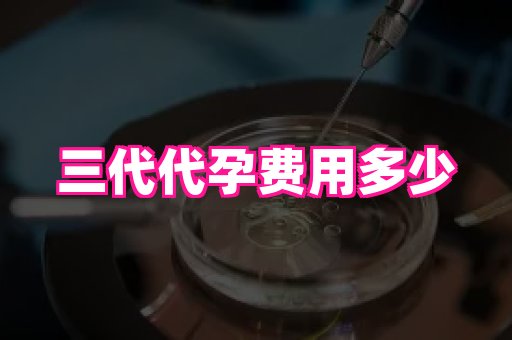 河南助孕网站 2