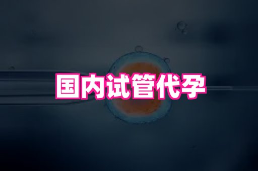 河南助孕网站 4